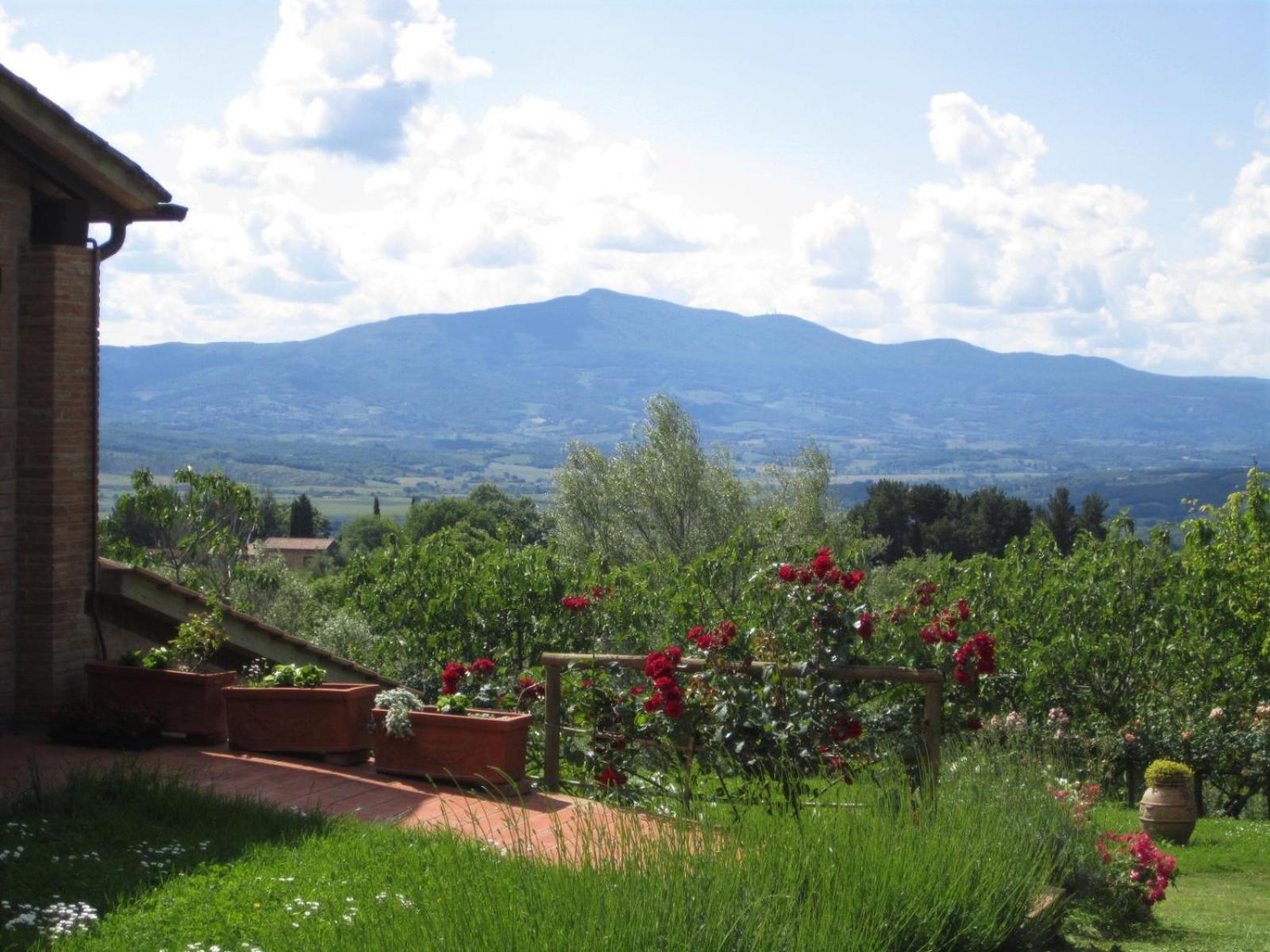 Agriturismo Cornieto 몬테레오네 도르비에토 외부 사진