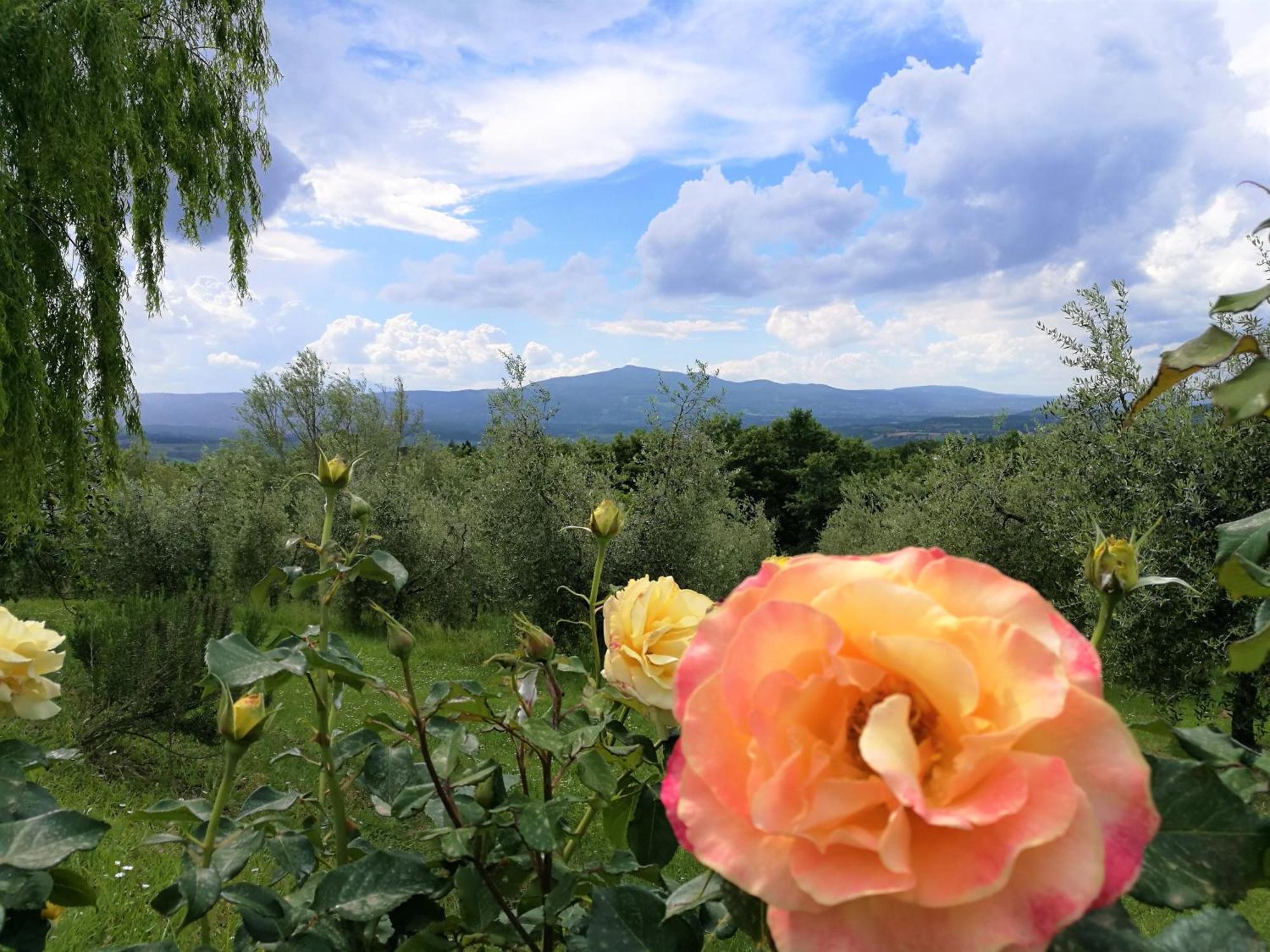 Agriturismo Cornieto 몬테레오네 도르비에토 외부 사진