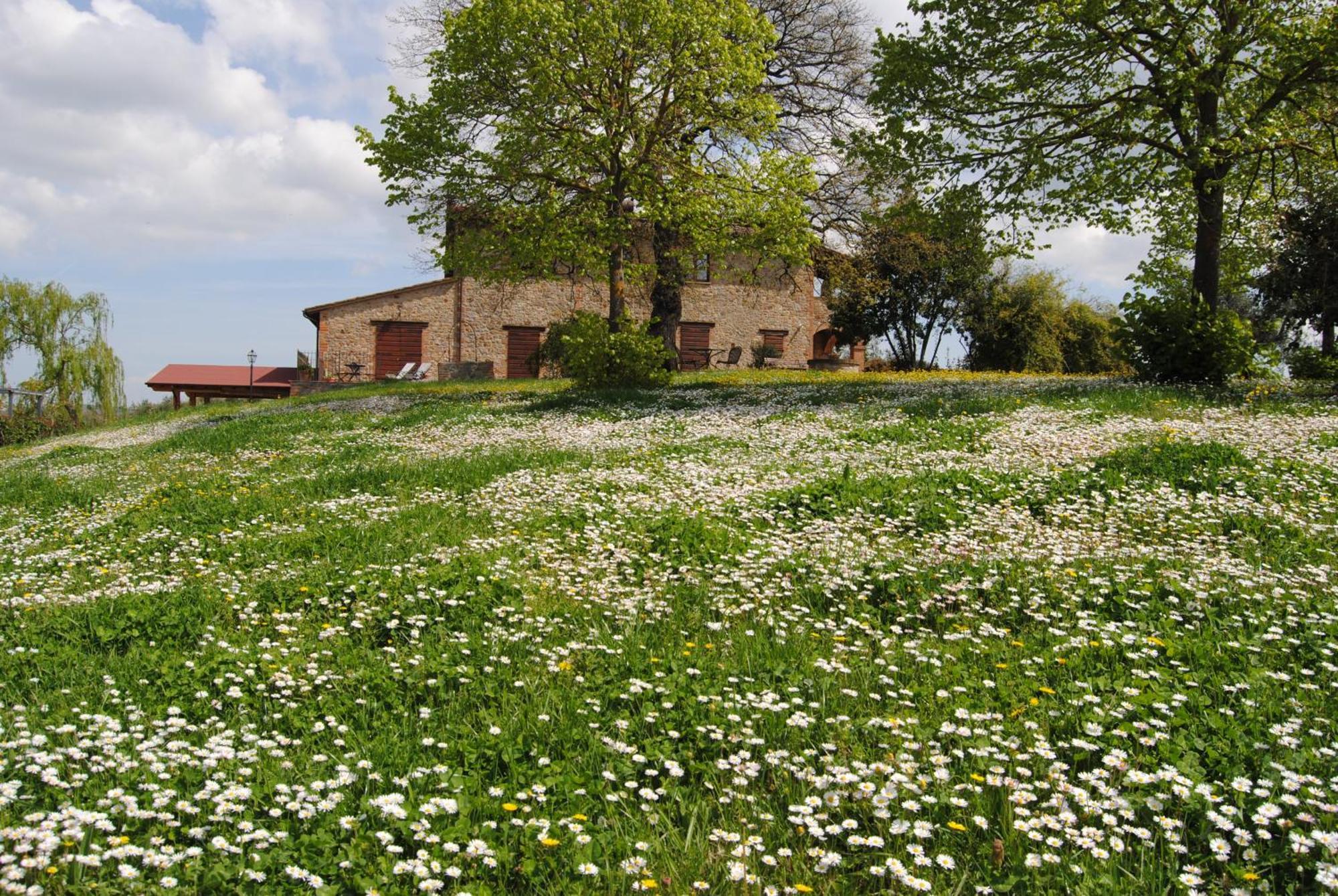Agriturismo Cornieto 몬테레오네 도르비에토 외부 사진