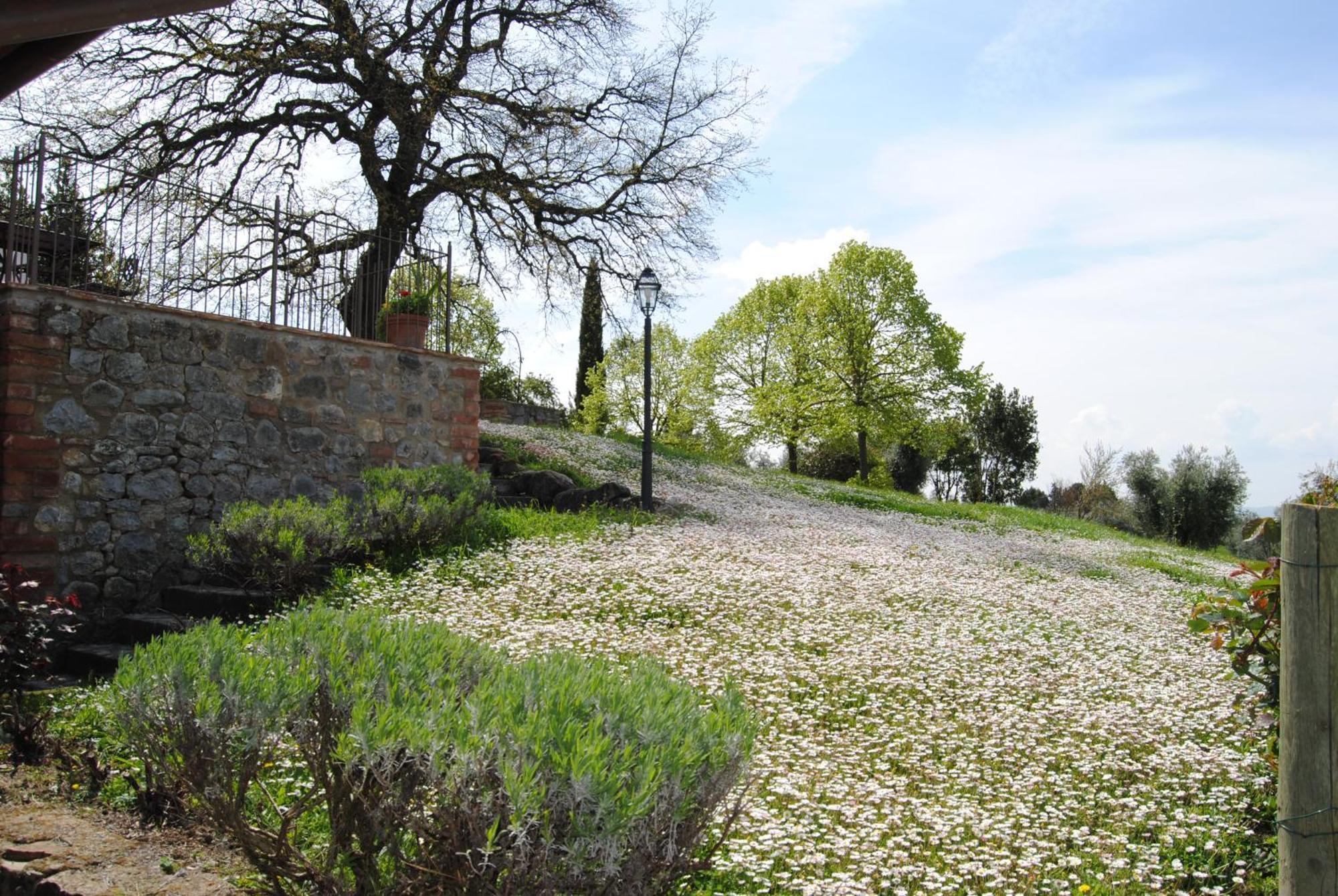 Agriturismo Cornieto 몬테레오네 도르비에토 외부 사진