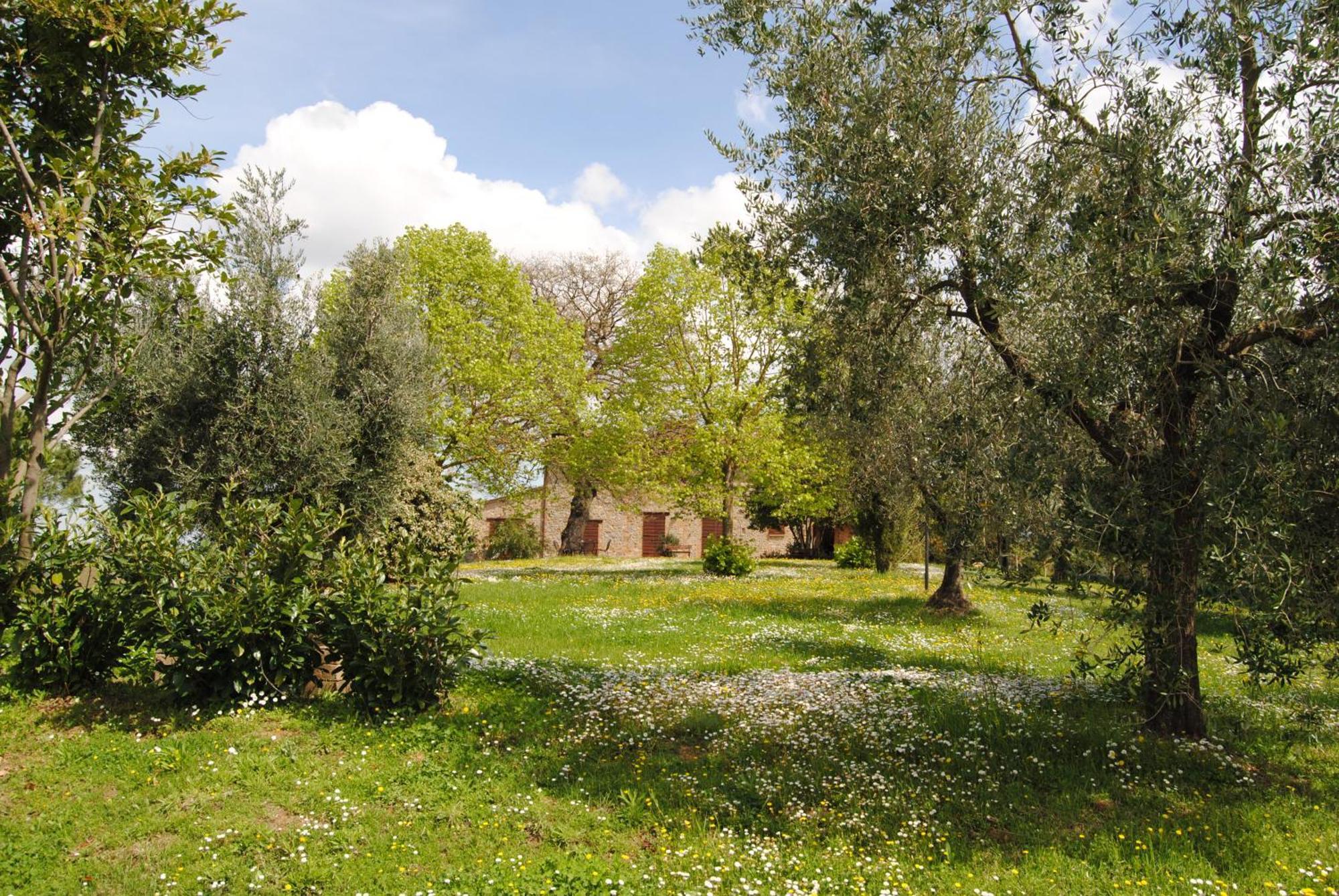 Agriturismo Cornieto 몬테레오네 도르비에토 외부 사진
