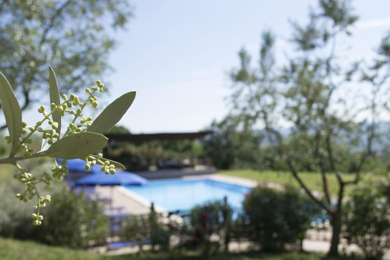 Agriturismo Cornieto 몬테레오네 도르비에토 외부 사진